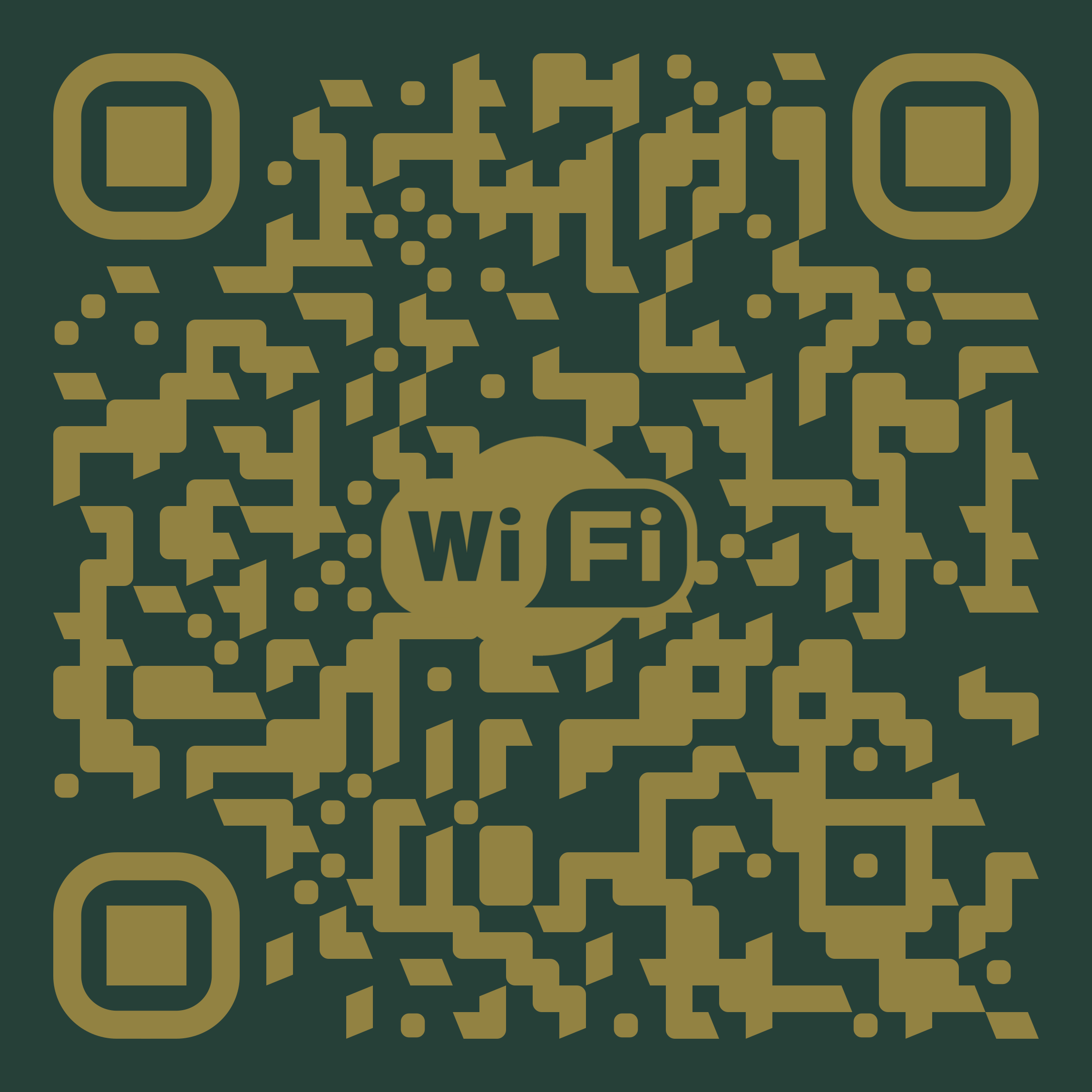 QR Code WiFi